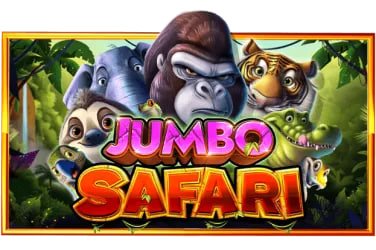 Philippines player accessing ph sabong bingo session on mobile